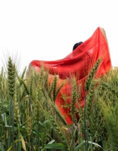 Baisakhi celebration, a girl with dupatta in the field