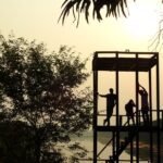 A picture of 3 Lazy Friends: Posing on the Wetland Tower