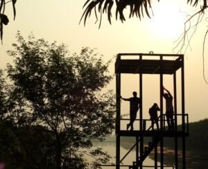 A picture of 3 Lazy Friends: Posing on the Wetland Tower