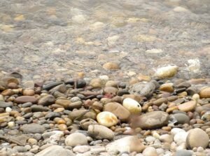 Stones and Pebbles: A Pondside Whisper