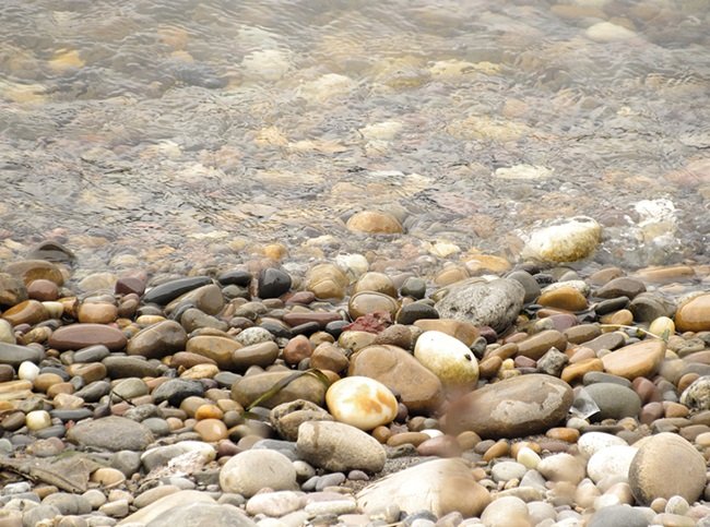 Stones and Pebbles: A Pondside Whisper