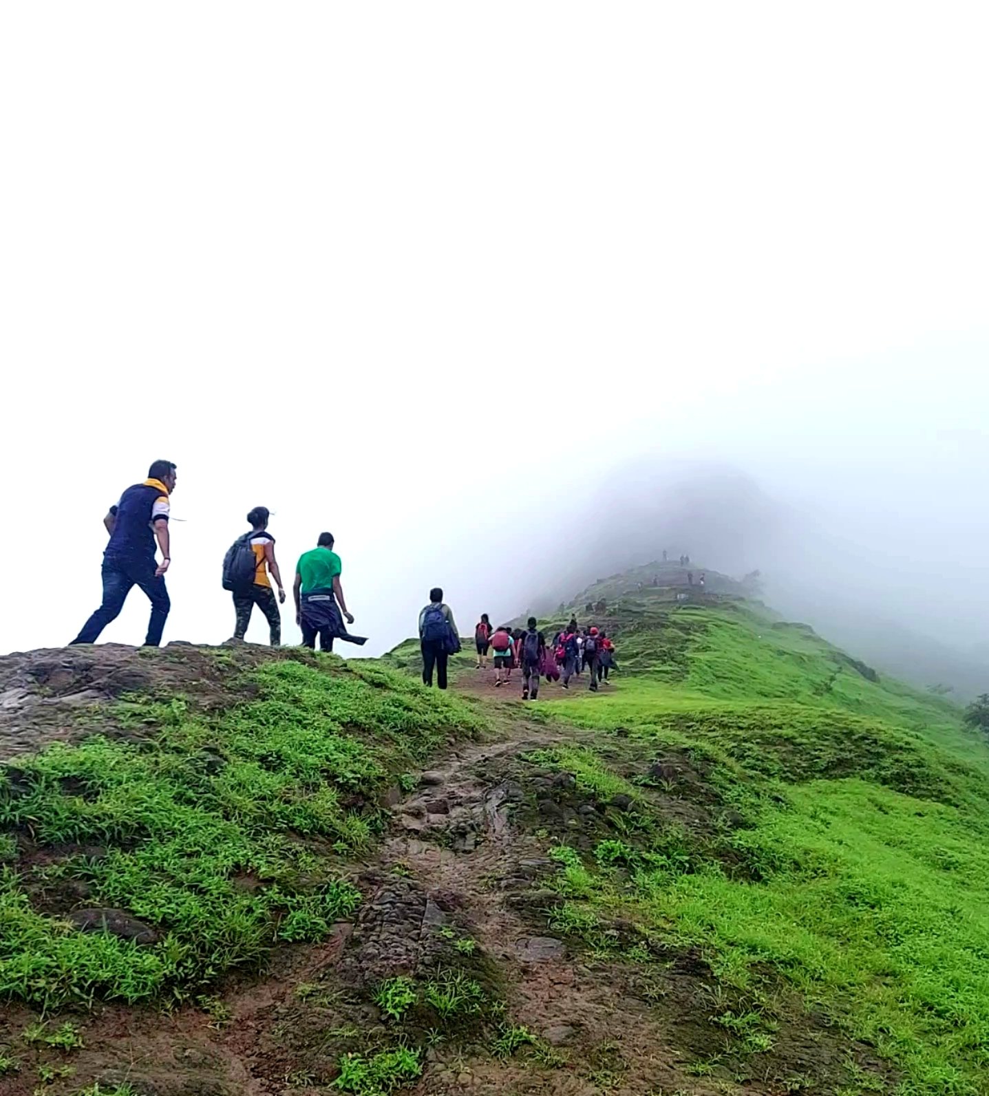 Path to Heaven: A Trekking Amidst Cloudy Skies